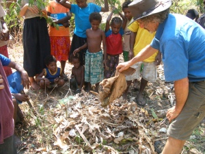 Compost pile in Bareo, Vanuatu permaculture