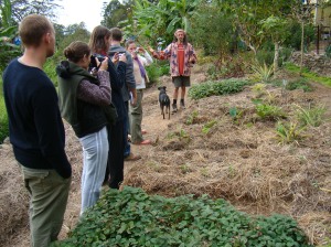 Introduction to Permaculture course